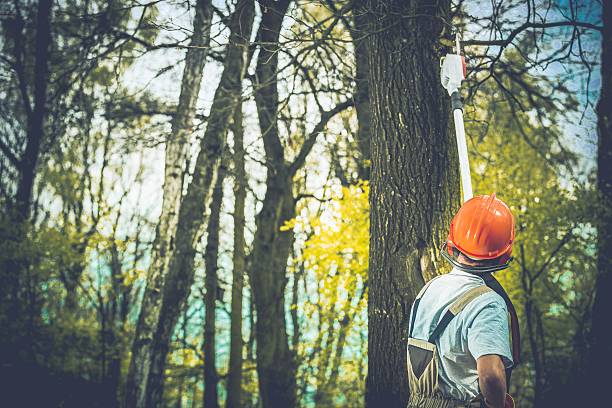 Soil Testing and Treatment in Newtown, PA